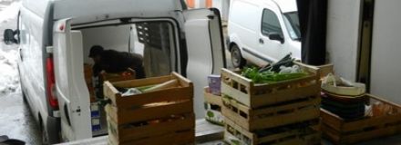 Zoom : les Amis d'Ici Zoom : les Amis d'Ici