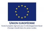 UE