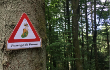 Chasse au Darou Chasse au Darou