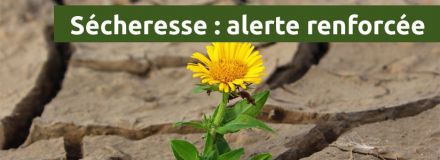 Passage au niveau d'alerte renforcée sécheresse Passage au niveau d'alerte renforcée sécheresse