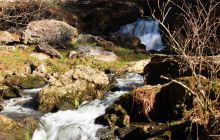 Sortie Nature : Transition, le monde qui change Sortie Nature : Transition, le monde qui change
