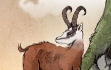 Chasse au Darou Chasse au Darou