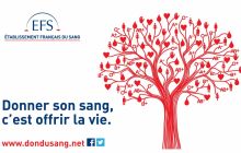 Don du Sang Don du Sang