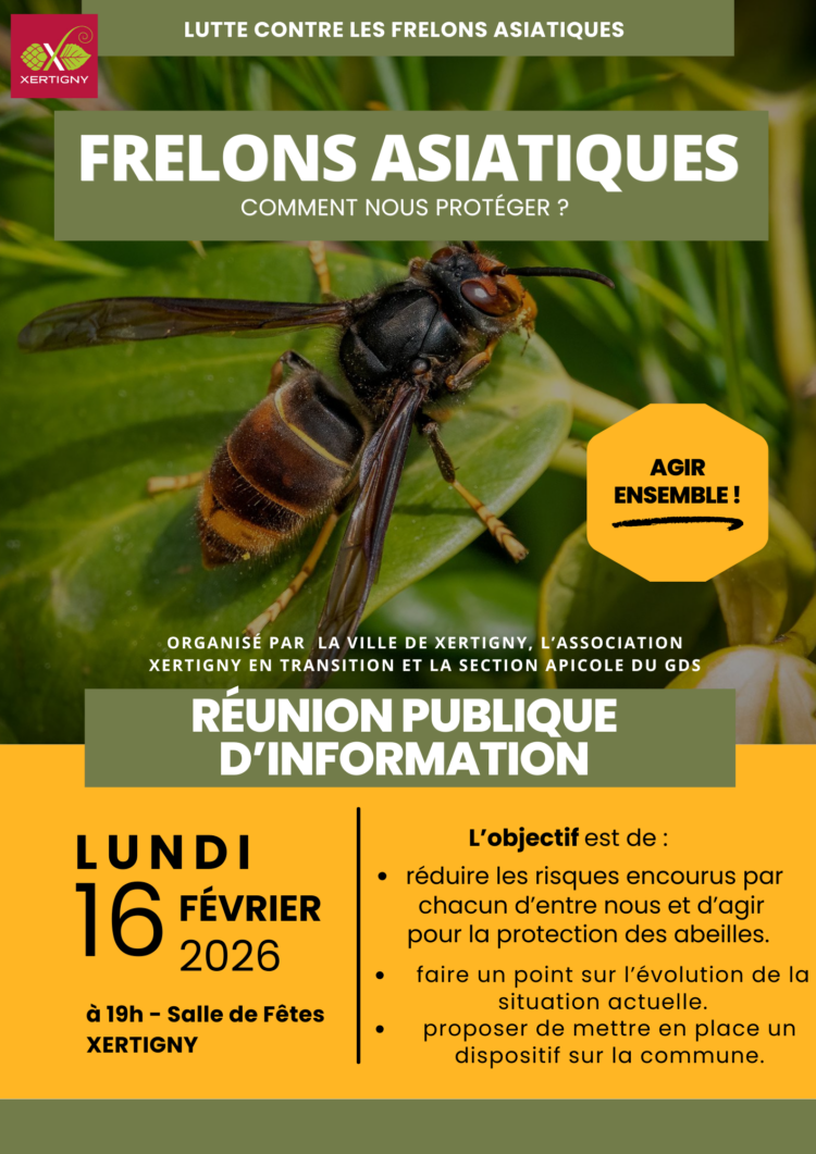 Réunion publique sur les dangers du frelon asiatique 🐝